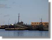 Canaries_053.jpg