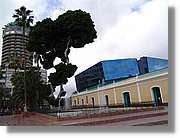 Canaries_060.jpg