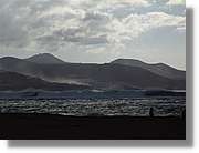 Canaries_062.jpg