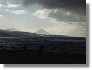 Canaries_063.jpg