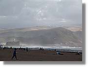 Canaries_064.jpg