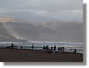 Canaries_066.jpg