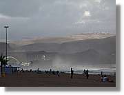 Canaries_067.jpg