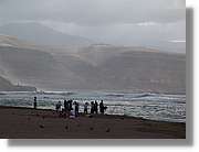 Canaries_068.jpg
