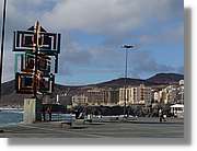 Canaries_069.jpg