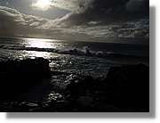 Canaries_070.jpg