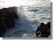 Canaries_071.jpg
