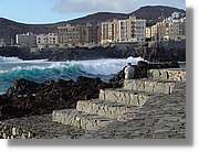Canaries_072.jpg