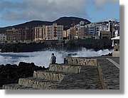 Canaries_073.jpg