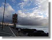 Canaries_074.jpg