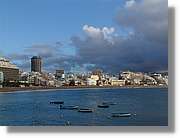 Canaries_076.jpg