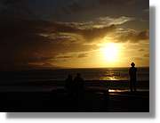 Canaries_080.jpg