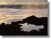Canaries_081.jpg