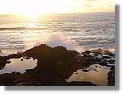 Canaries_082.jpg