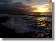Canaries_083.jpg