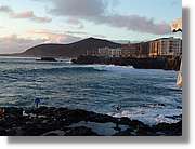 Canaries_084.jpg