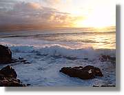 Canaries_086.jpg
