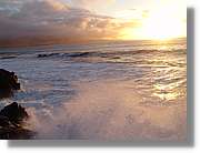 Canaries_087.jpg