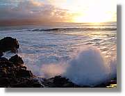 Canaries_088.jpg