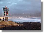 Canaries_089.jpg