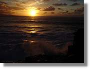 Canaries_090.jpg