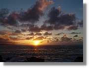 Canaries_091.jpg