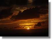 Canaries_092.jpg