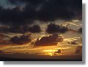 Canaries_093.jpg