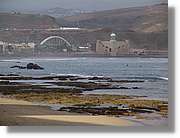 Canaries_098.jpg