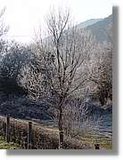 2Euskadi_155.jpg