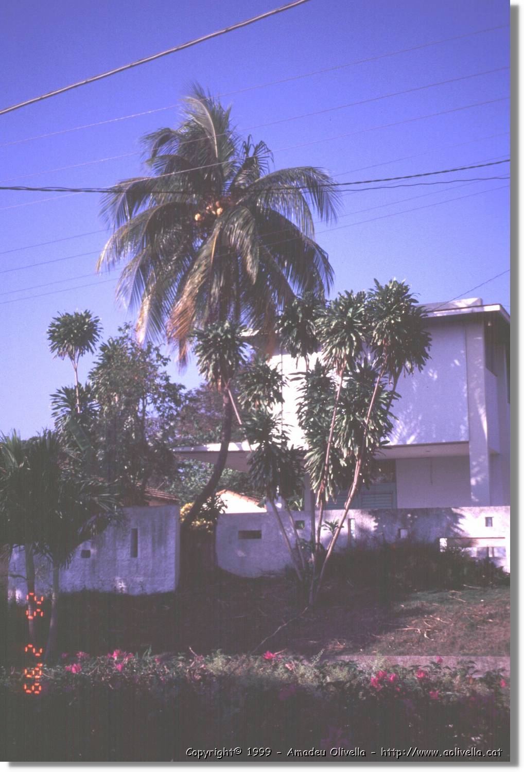Cuba_009.jpg