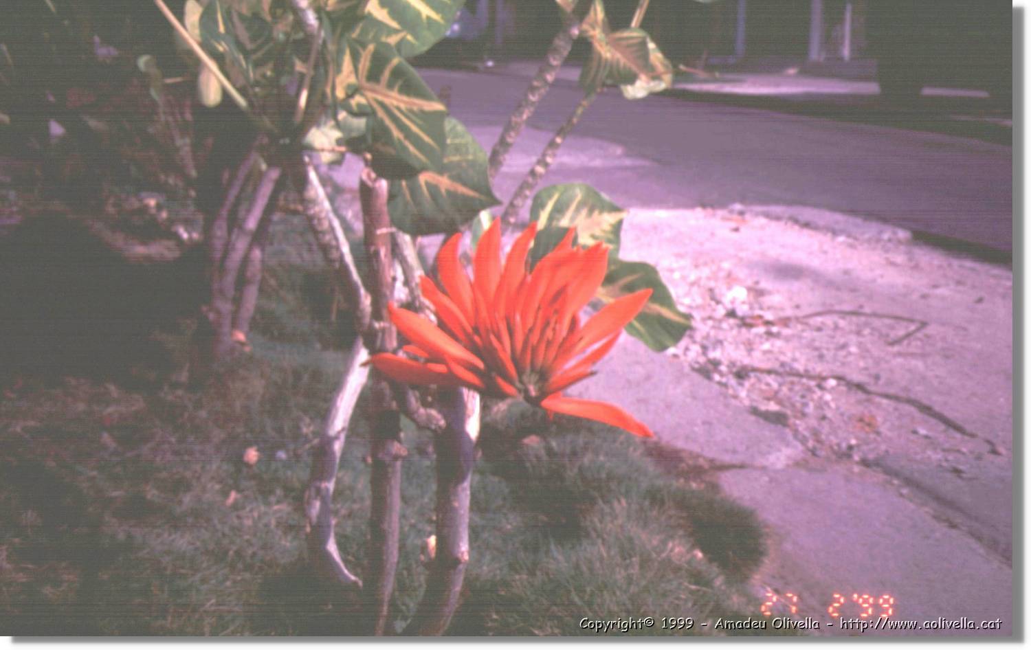 Cuba_062.jpg