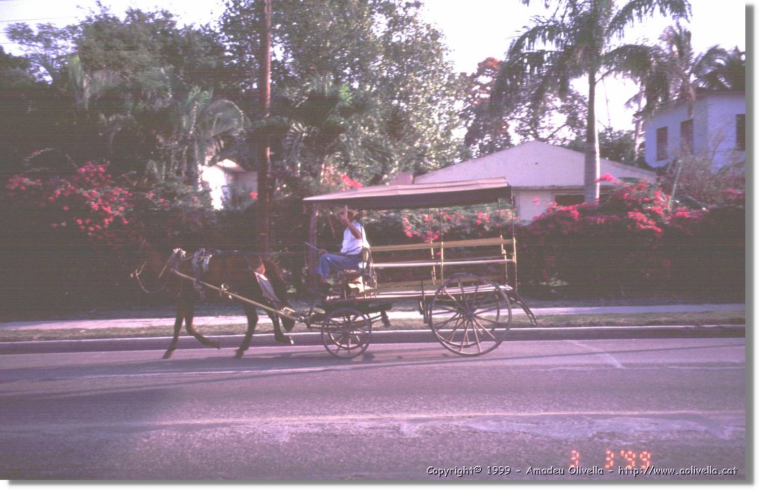 Cuba_105.jpg