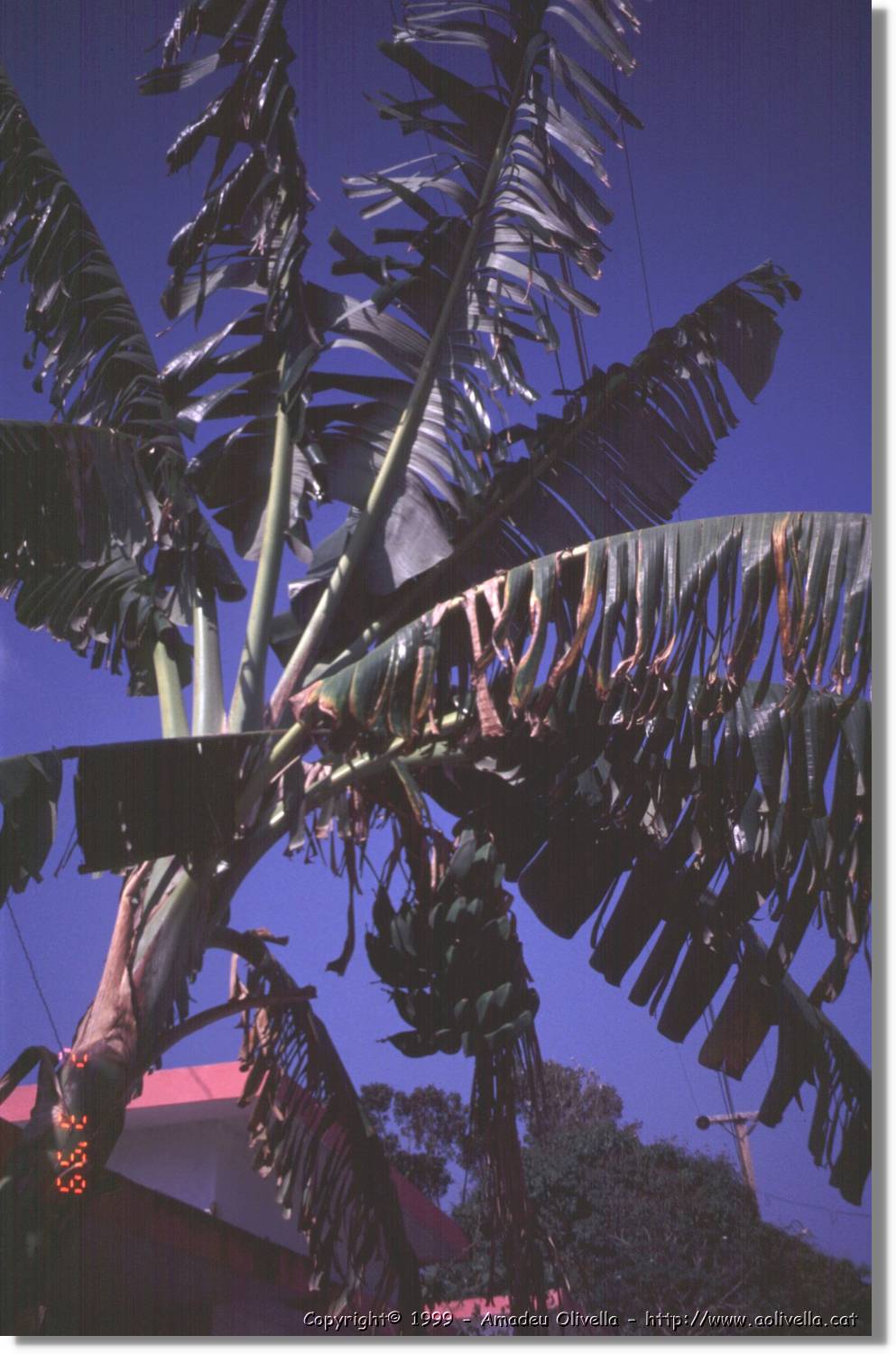 Cuba_121.jpg