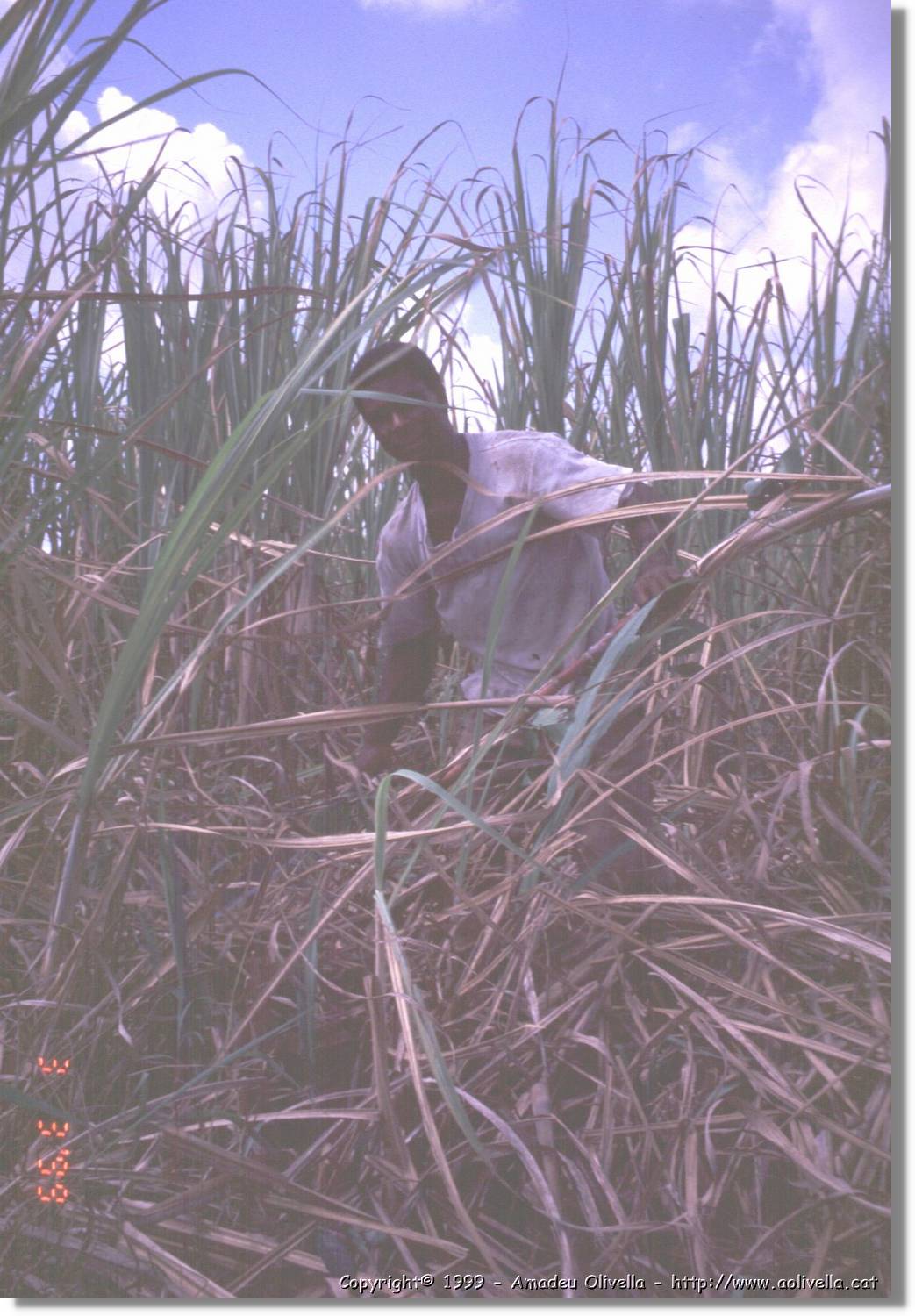 Cuba_147.jpg