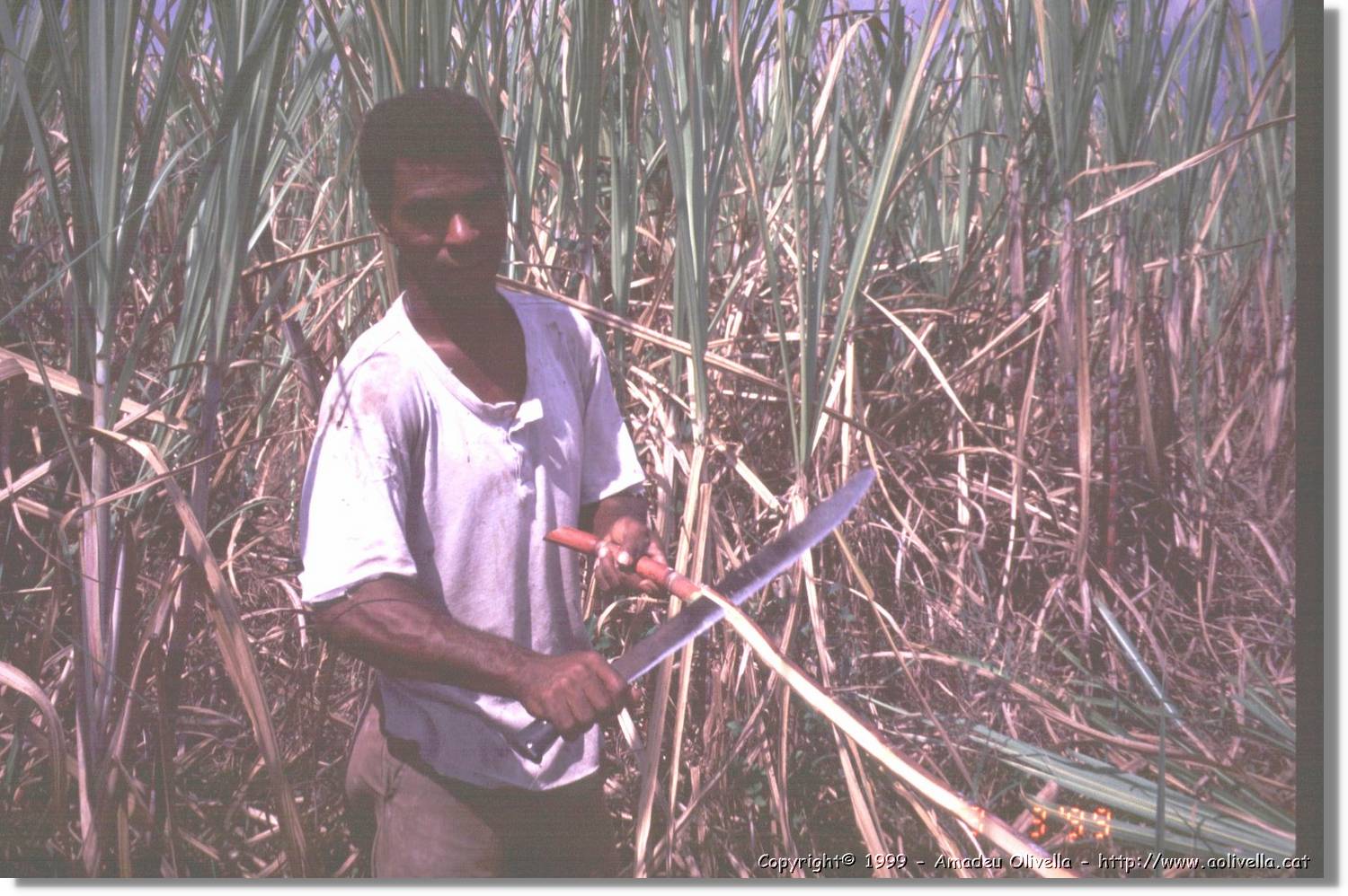 Cuba_152.jpg