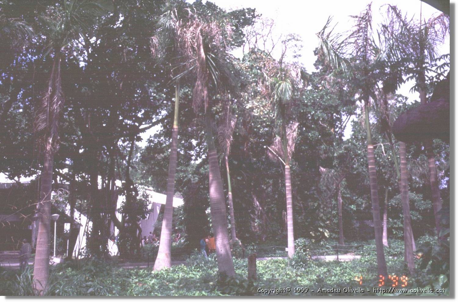 Cuba_160.jpg