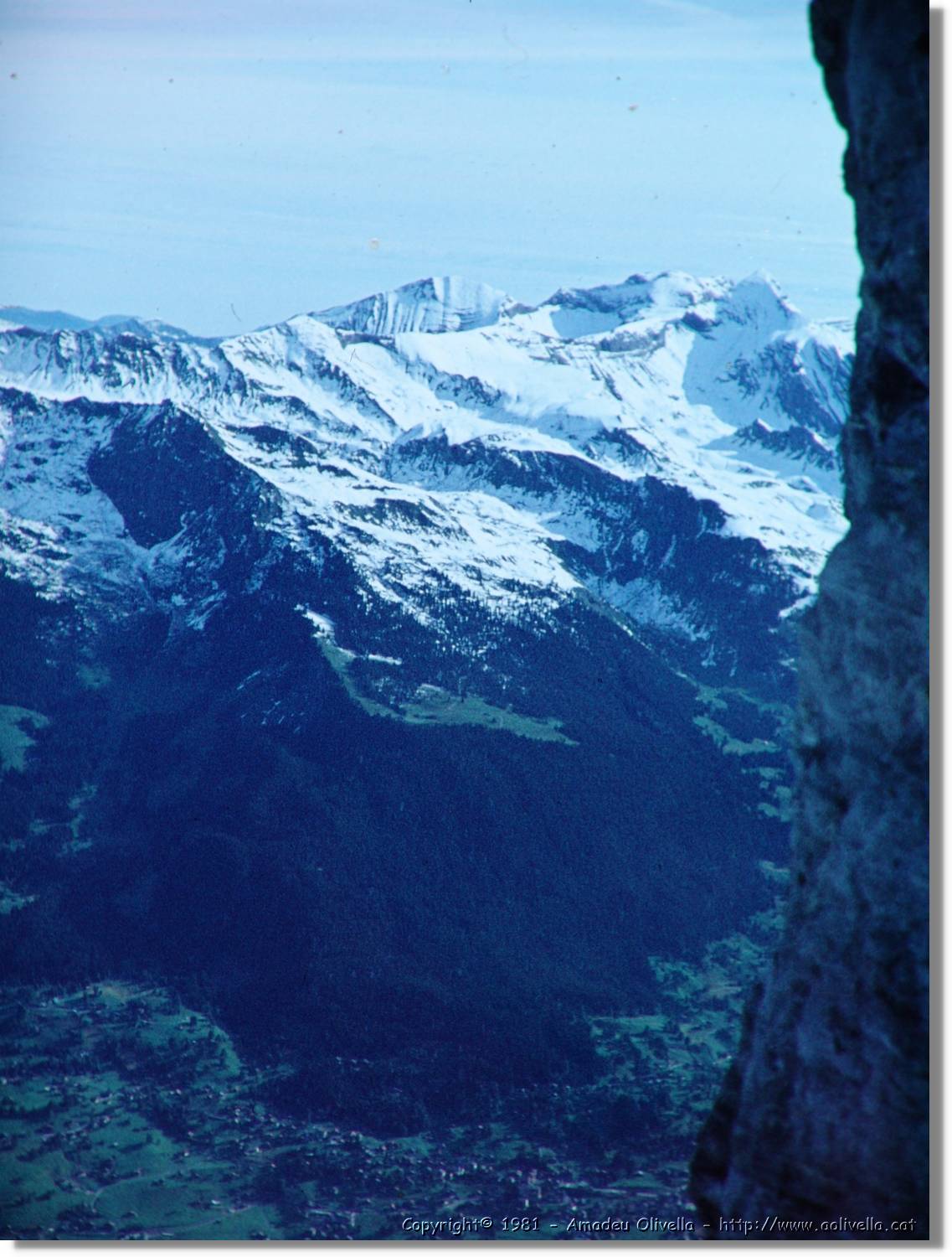 1Suissa_039.jpg