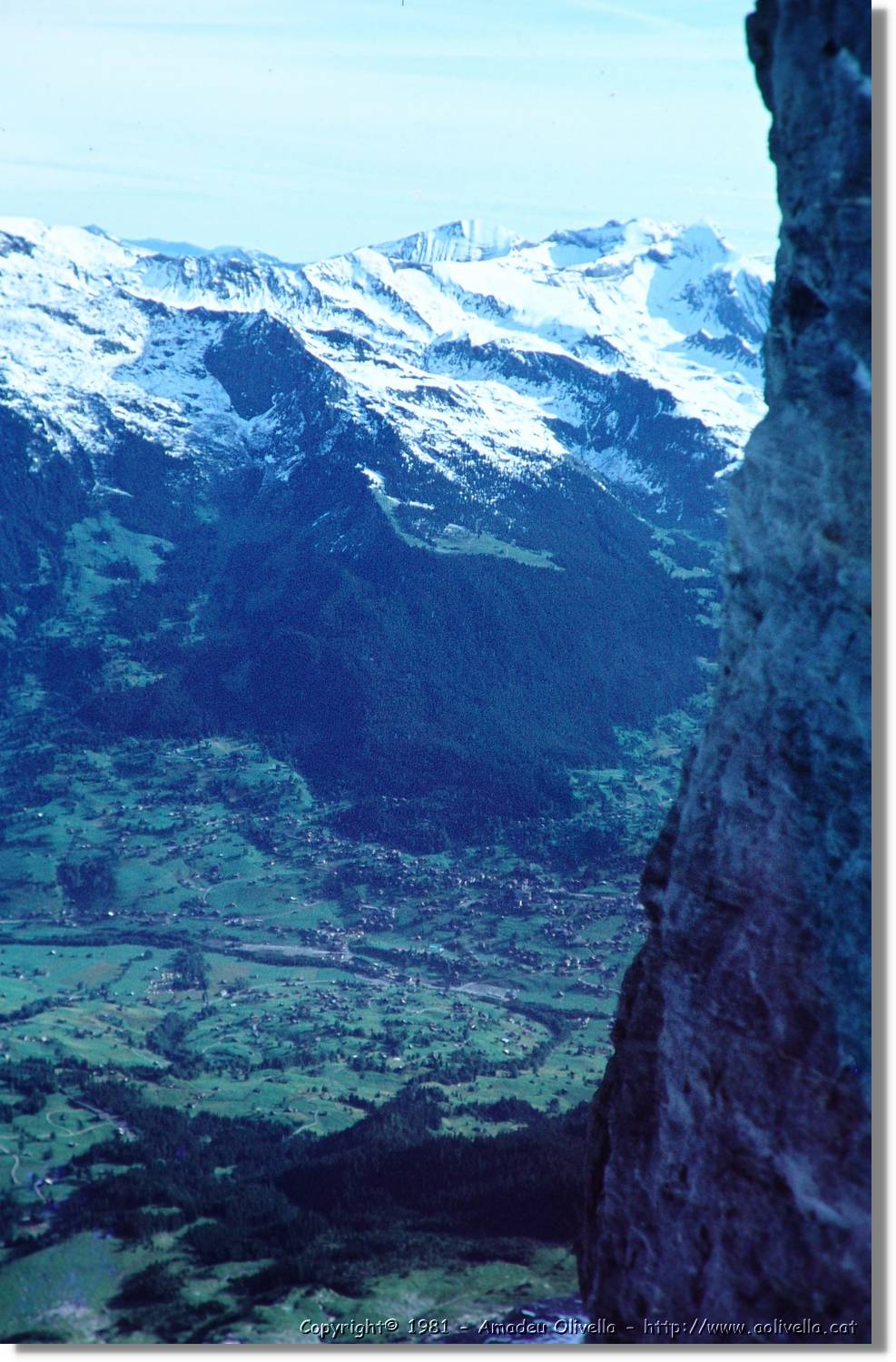 1Suissa_040.jpg