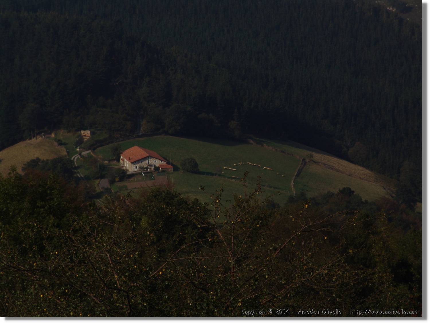 Euskadi_089.jpg