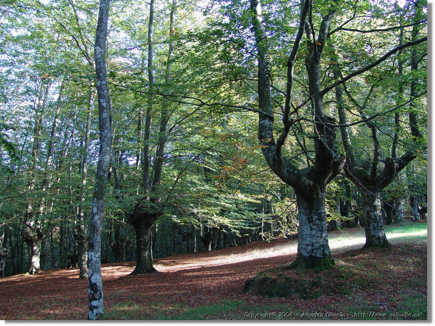 Euskadi_099.jpg