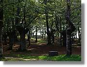 Euskadi_098.jpg