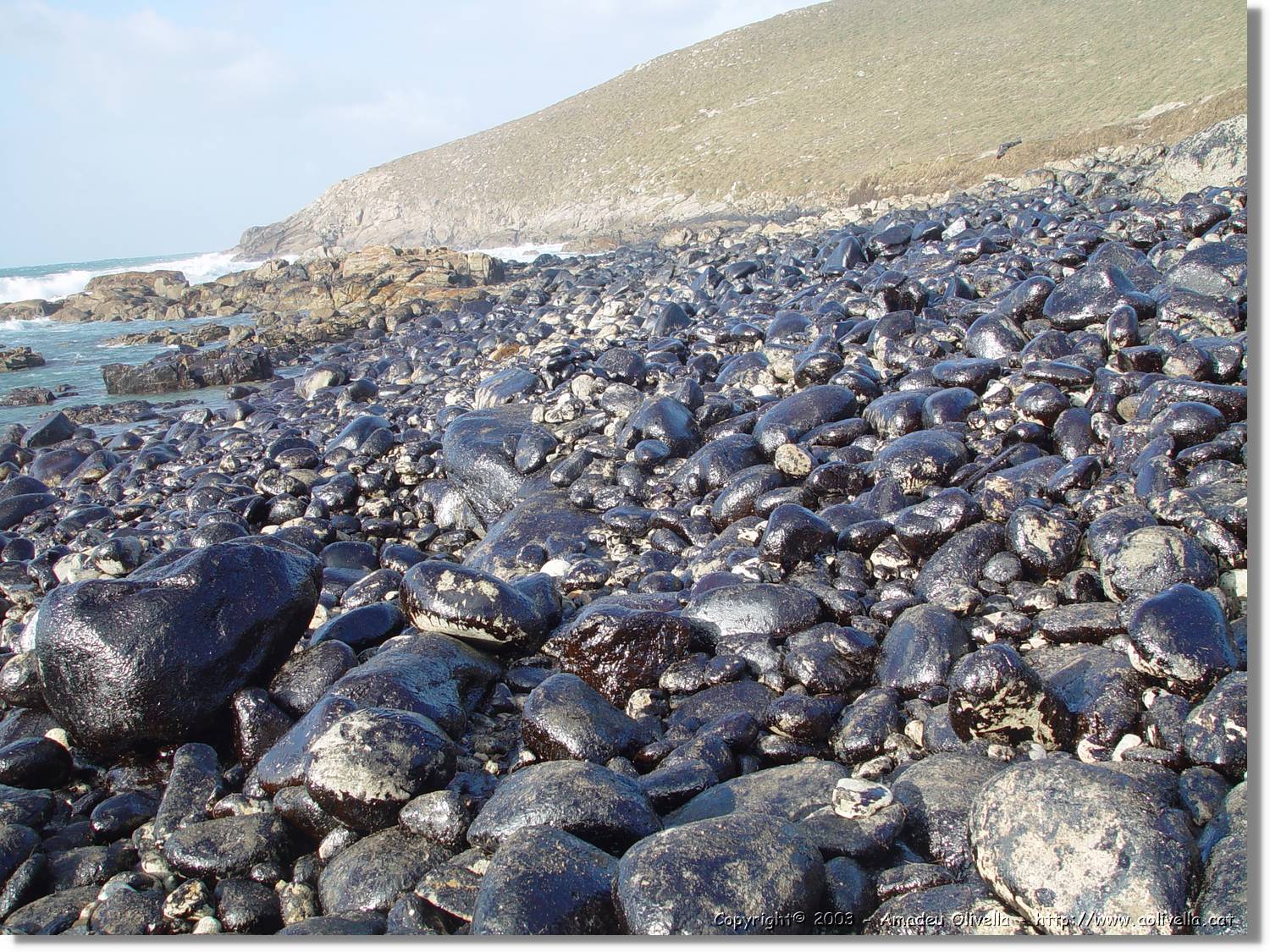 Xapapote_043.jpg