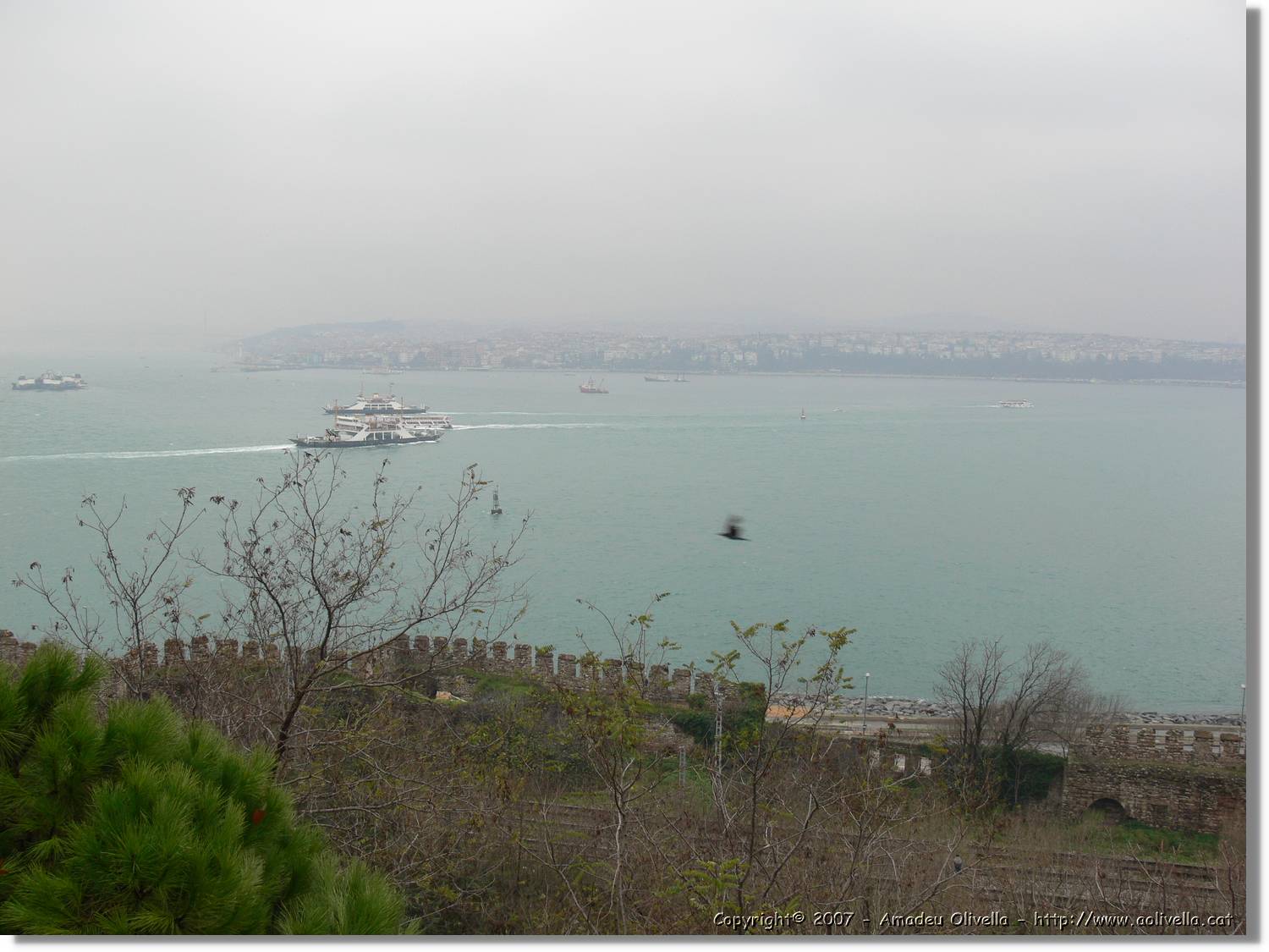 Istanbul_0435.jpg
