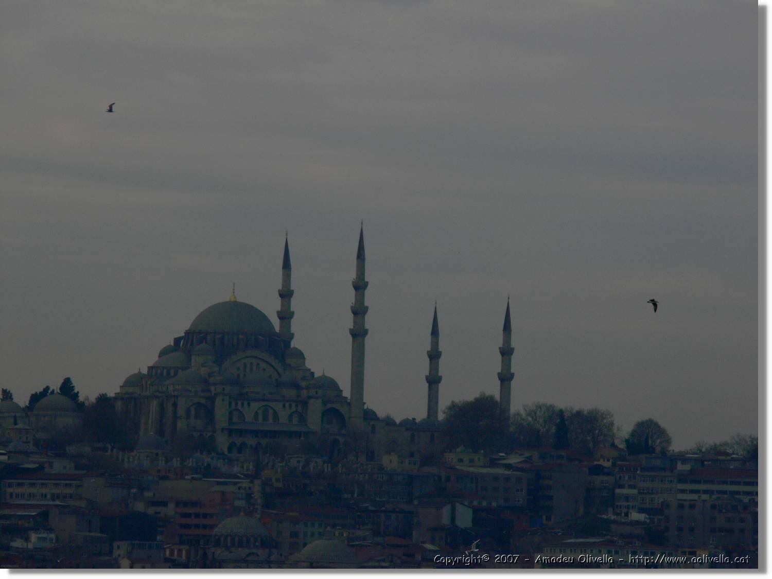 Istanbul_0870.jpg