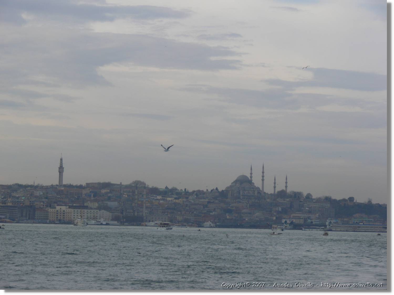 Istanbul_0874.jpg