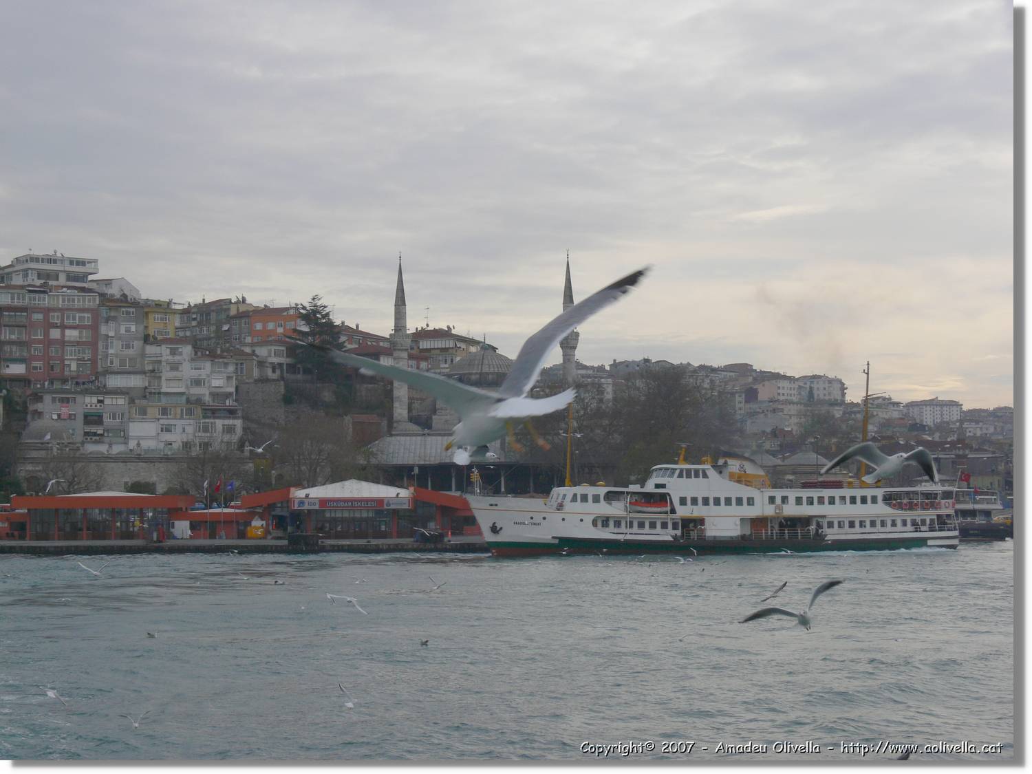 Istanbul_0943.jpg