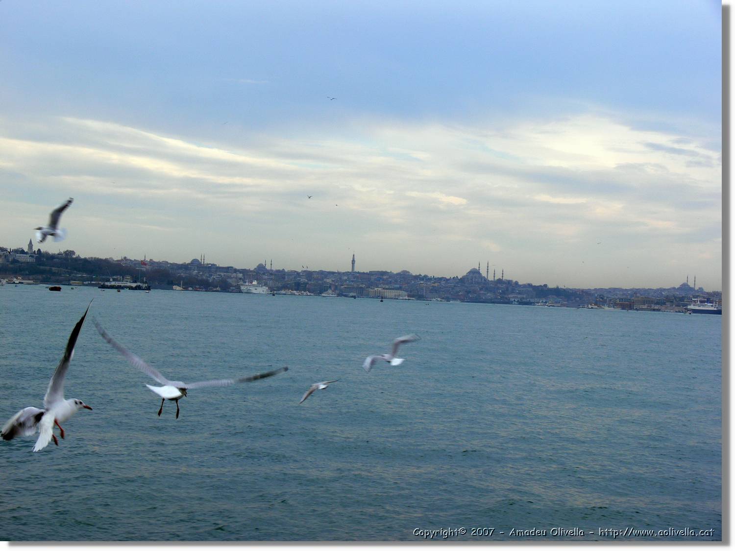 Istanbul_0946.jpg