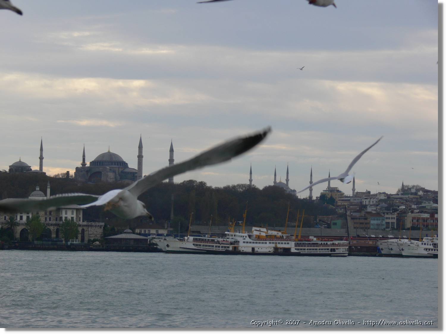 Istanbul_0955.jpg