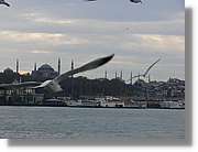 Istanbul_0955.jpg